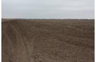 Property photo 10 - Kansas Land Auction - 960 Acres - 7 Farms in 3 Counties